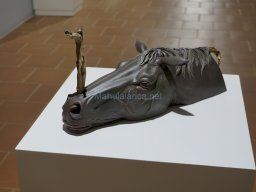 Exposición el tiempo de la Crisálida